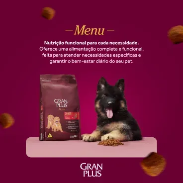 Racao GranPlus Menu Caes 2